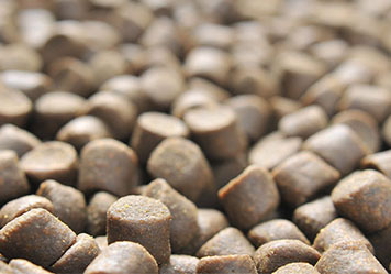 fish feed