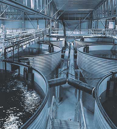 Specialty aquaculture plants