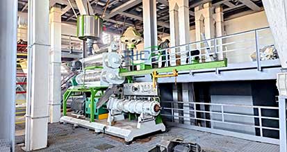 fish feed extruder machine in Brazil