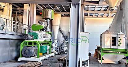 floating fish feed extruder in Indonesia
