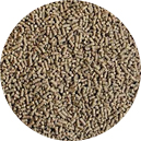 fish-feed