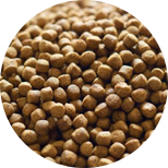 floating-fish feed