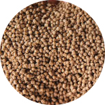 sinking fish feed