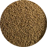 slow-sinking fish feed