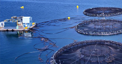 Aquaculture Farm