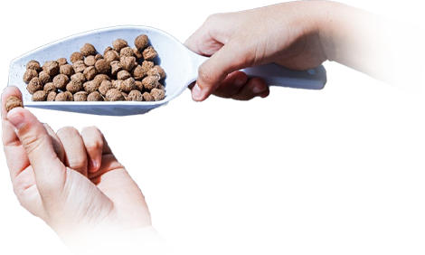 fish feed pellet