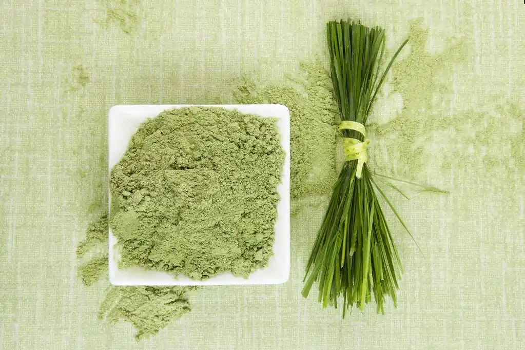 grass meal