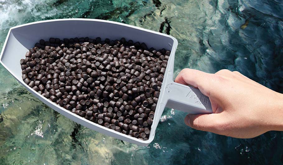 Floating Fish Feed Pellet