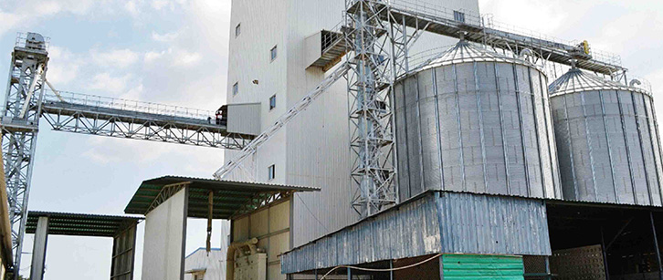 Uzbekistan Sinking Fish Feed Production Line