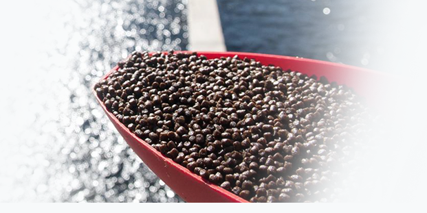 Aquatic animal feed pellets