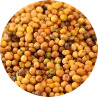 rapeseed