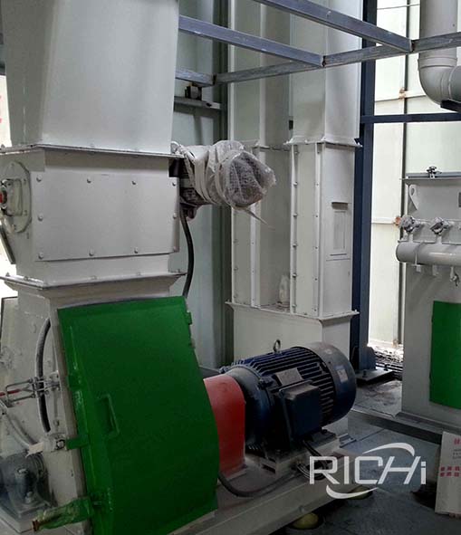 Bangladesh fish and shrimp feed plant