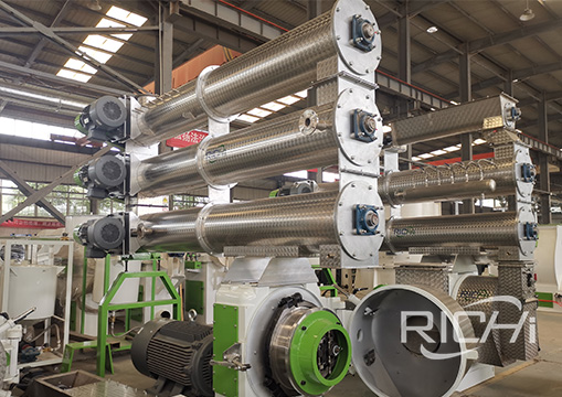 Indonesian shrimp feed factory equipment produced in RICHI