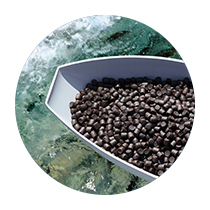 aquatic feed pellets