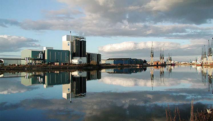 richi floating fish feed production line