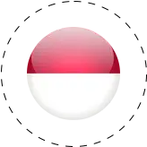 Indonesia's flag